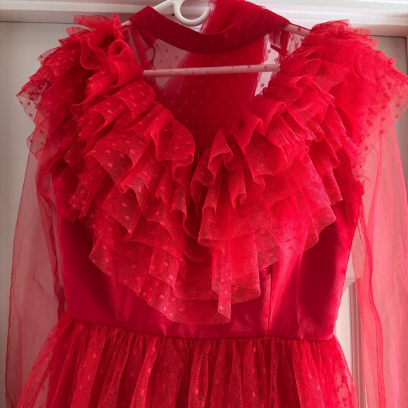 Lydia Costume, large with wig - Picture 1 of 5